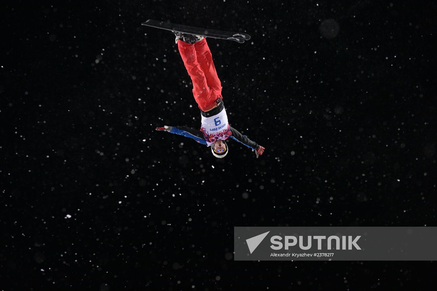 2014 Winter Olympics. Freestyle skiing. Men. Aerials