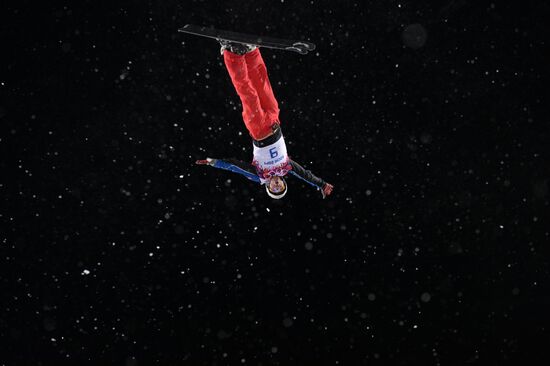 2014 Winter Olympics. Freestyle skiing. Men. Aerials