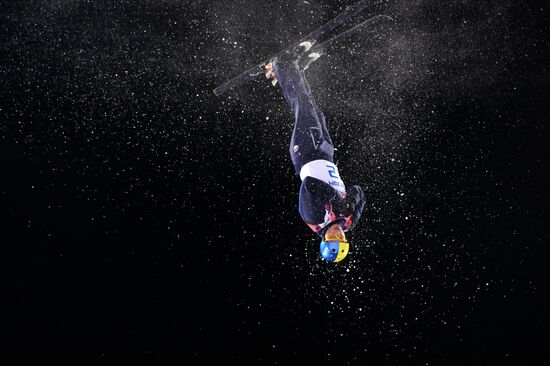 2014 Winter Olympics. Freestyle skiing. Men. Aerials