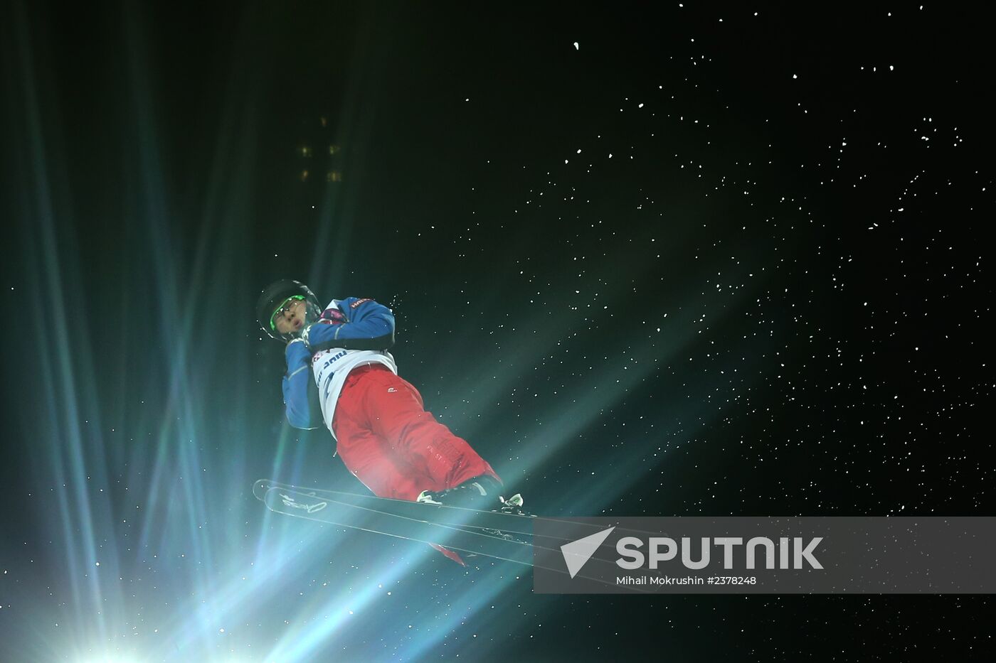 2014 Winter Olympics. Freestyle skiing. Men. Aerials