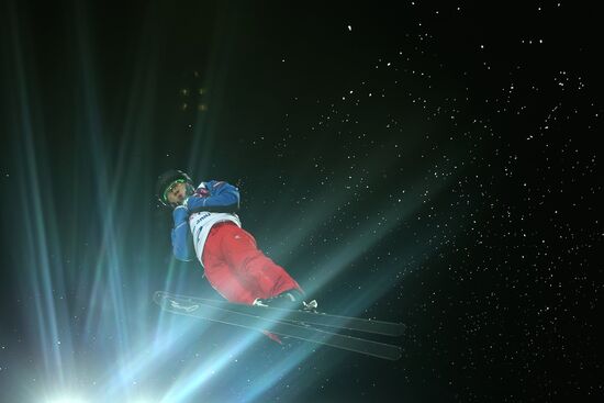 2014 Winter Olympics. Freestyle skiing. Men. Aerials