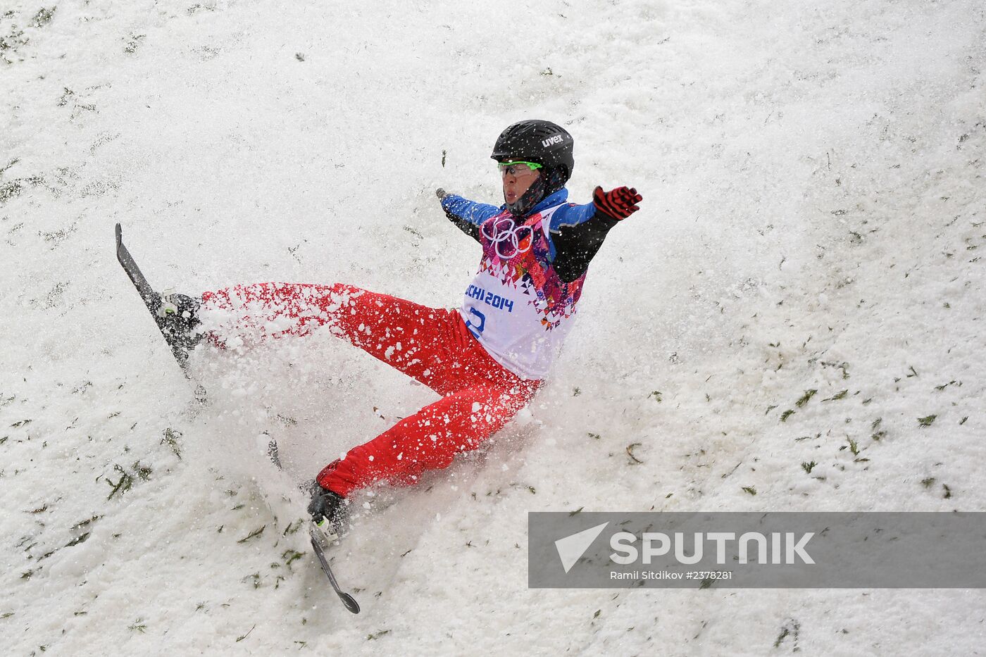 2014 Winter Olympics. Freestyle skiing. Men. Aerials