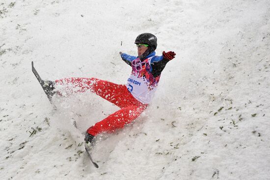 2014 Winter Olympics. Freestyle skiing. Men. Aerials