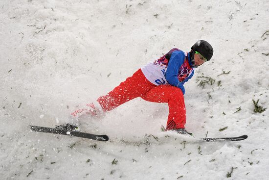 2014 Winter Olympics. Freestyle skiing. Men. Aerials