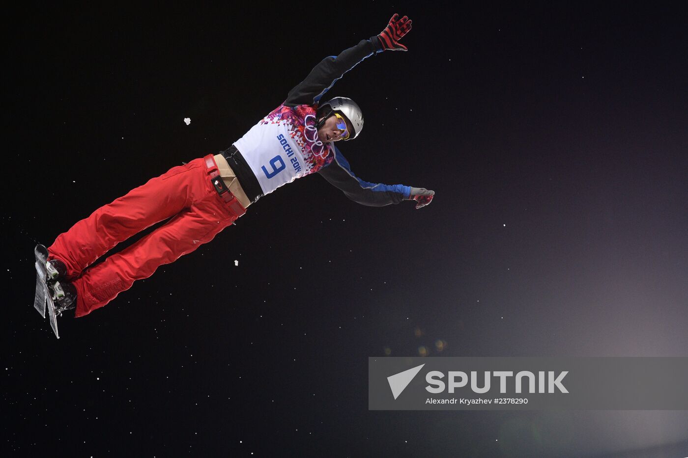 2014 Winter Olympics. Freestyle skiing. Men. Aerials