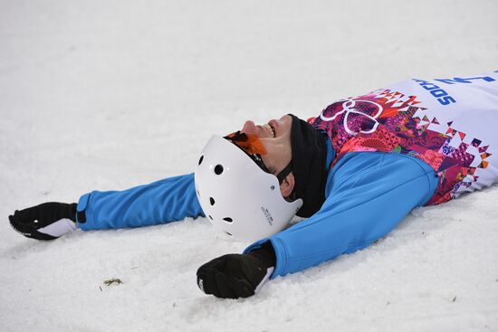 2014 Winter Olympics. Freestyle skiing. Men. Aerials