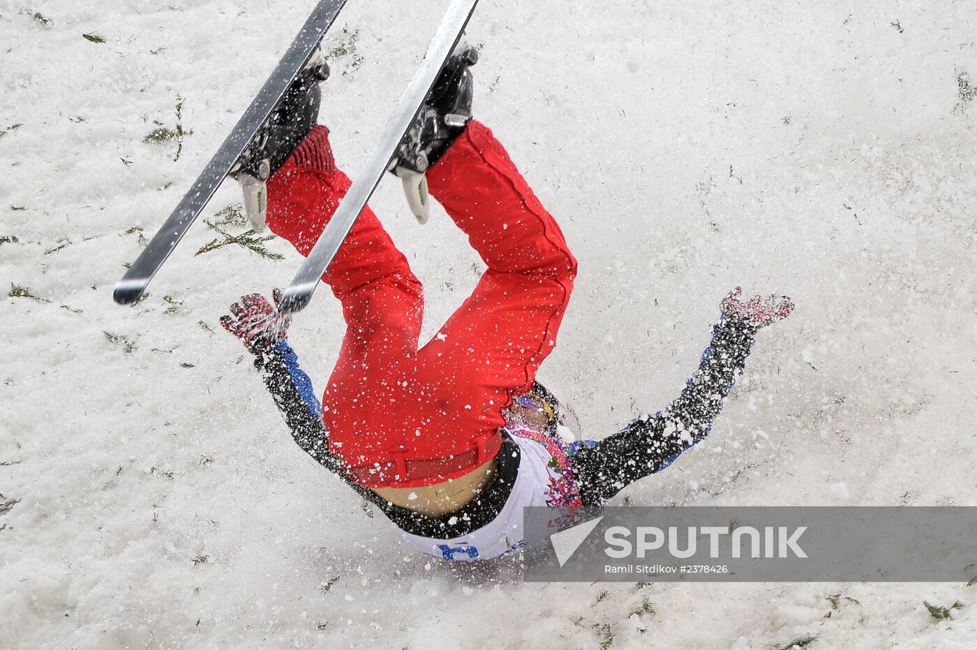 2014 Winter Olympics. Freestyle skiing. Men. Aerials.