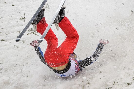 2014 Winter Olympics. Freestyle skiing. Men. Aerials.