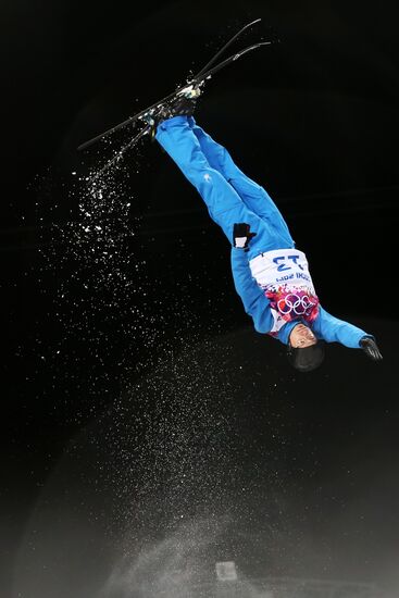 2014 Winter Olympics. Freestyle skiing. Men. Aerials