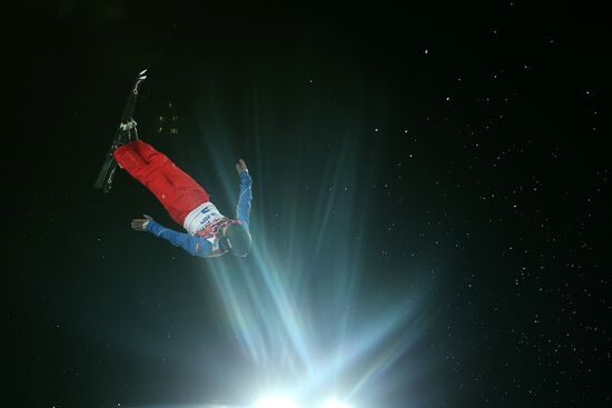 2014 Winter Olympics. Freestyle skiing. Men. Aerials
