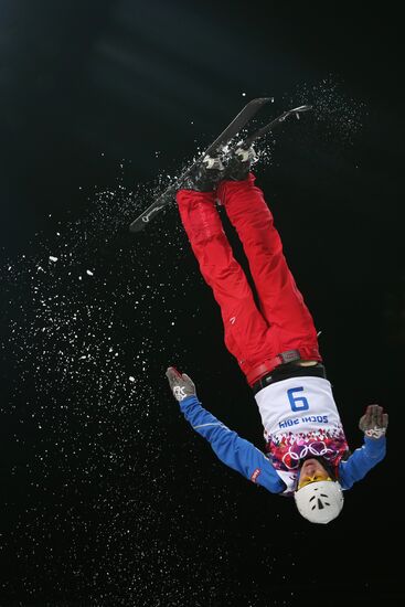 2014 Winter Olympics. Freestyle skiing. Men. Aerials