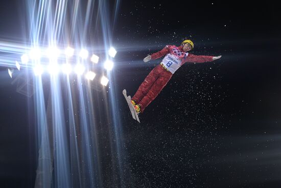 2014 Winter Olympics. Freestyle skiing. Men. Aerials