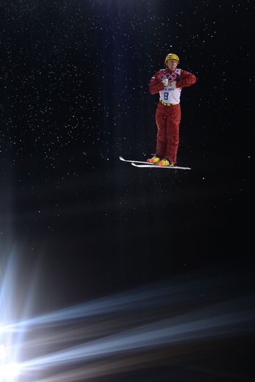 2014 Winter Olympics. Freestyle skiing. Men. Aerials