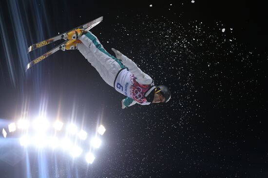 2014 Winter Olympics. Freestyle skiing. Men. Aerials