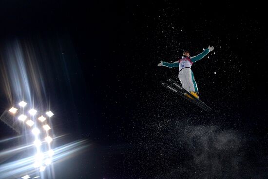 2014 Winter Olympics. Freestyle skiing. Men. Aerials