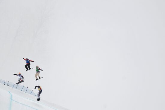 2014 Winter Olympics. Snowboarding. Men. Snowboard cross