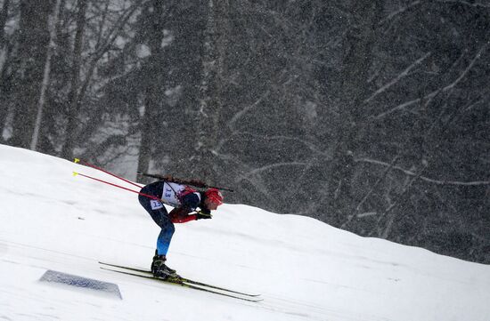 2014 Winter Olympics. Biathlon. Men. Mass start race