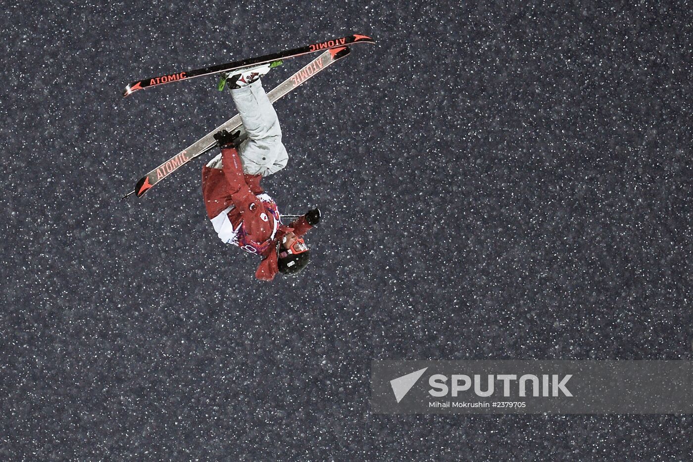 2014 Winter Olympics. Freestyle skiing. Men. Halfpipe