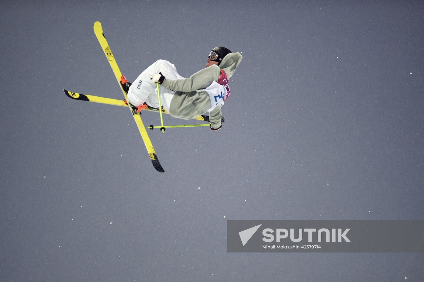 2014 Winter Olympics. Freestyle skiing. Men. Halfpipe