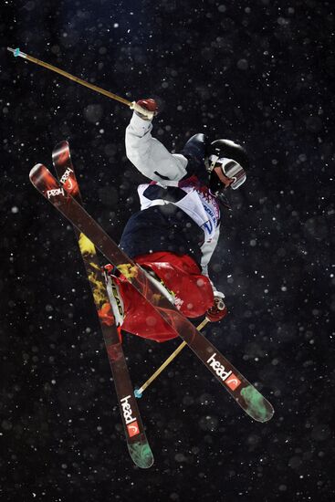 2014 Winter Olympics. Freestyle skiing. Men. Halfpipe