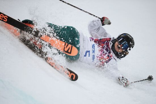 2014 Winter Olympics. Freestyle skiing. Men. Halfpipe