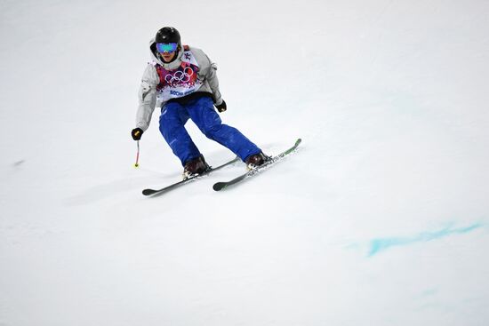 2014 Winter Olympics. Freestyle skiing. Men. Halfpipe