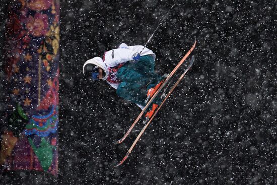 2014 Winter Olympics. Freestyle skiing. Men. Halfpipe