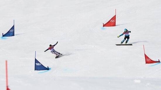 2014 Winter Olympics. Snowboarding. Men. Parallel giant slalom