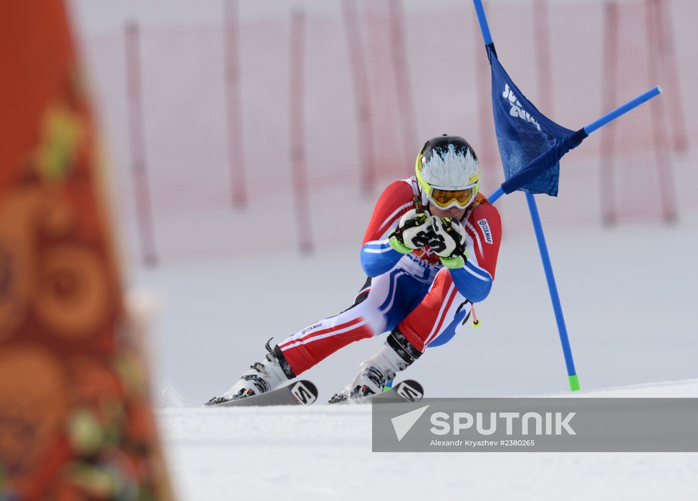 2014 Winter Olympics. Alpine skiing. Men. Giant slalom
