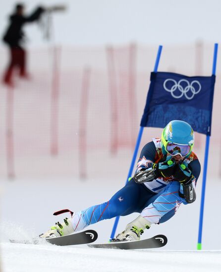 2014 Winter Olympics. Alpine skiing. Men. Giant slalom