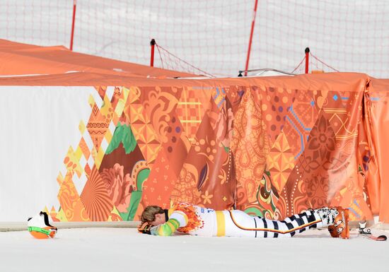 2014 Winter Olympics. Alpine skiing. Men. Giant slalom