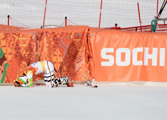 2014 Winter Olympics. Alpine skiing. Men. Giant slalom