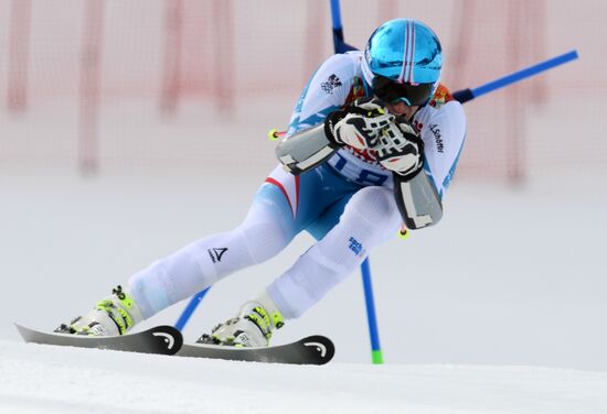 2014 Winter Olympics. Alpine skiing. Men. Giant slalom