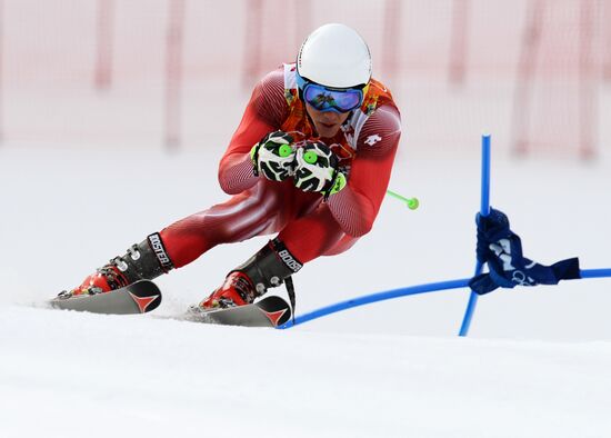 2014 Winter Olympics. Alpine skiing. Men. Giant slalom