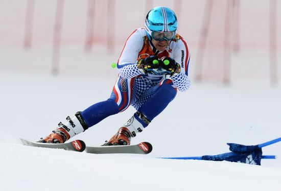 2014 Winter Olympics. Alpine skiing. Men. Giant slalom