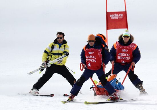 2014 Winter Olympics. Alpine skiing. Men. Giant slalom