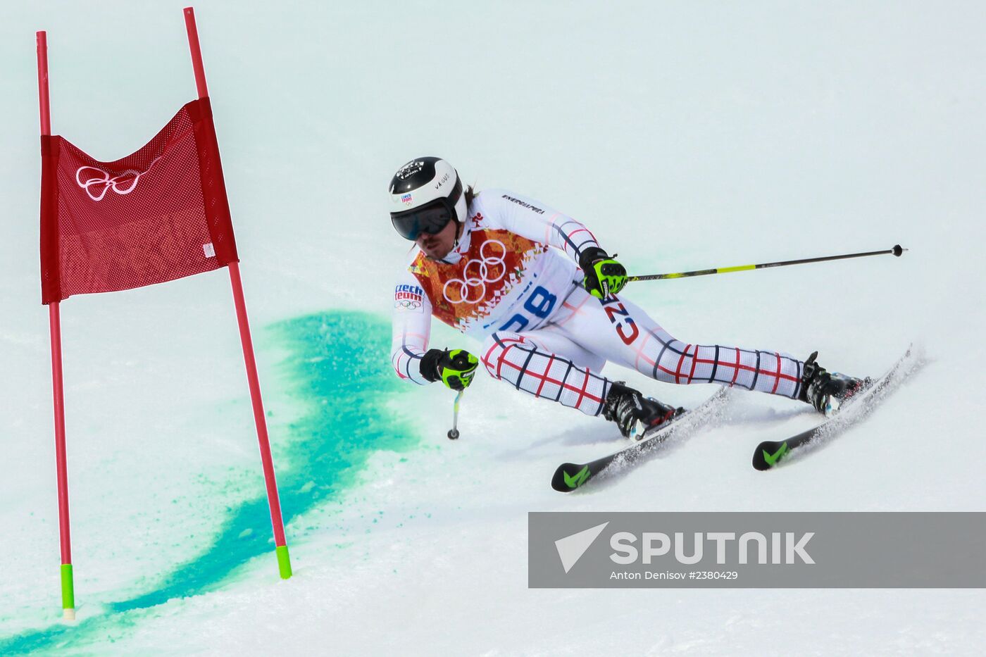 2014 Winter Olympics. Alpine skiing. Men. Giant slalom