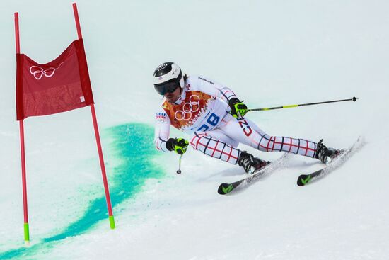 2014 Winter Olympics. Alpine skiing. Men. Giant slalom