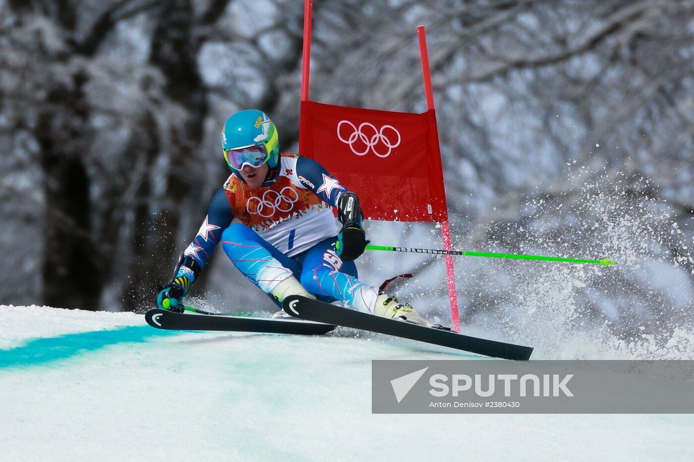 2014 Winter Olympics. Alpine skiing. Men. Giant slalom