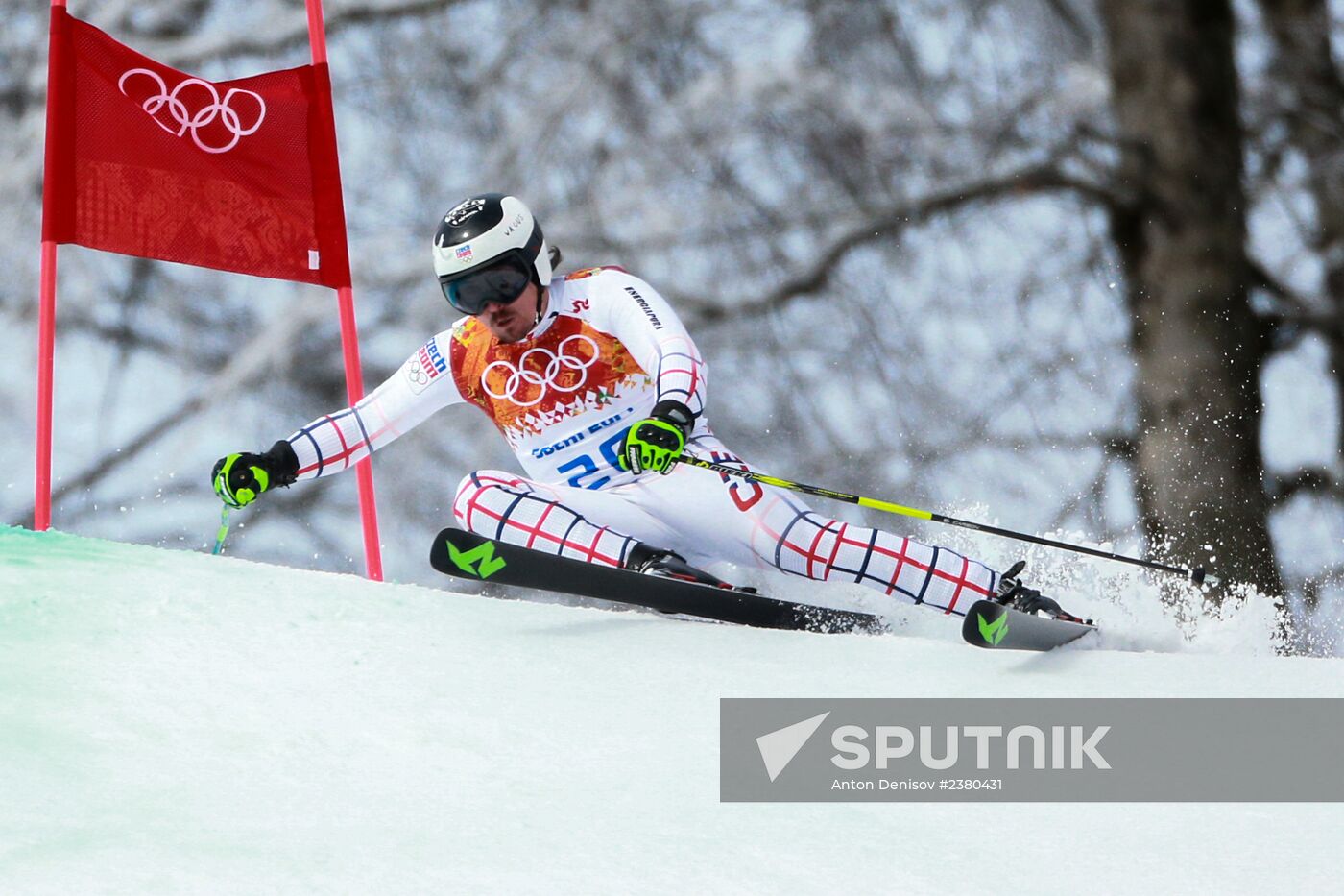 2014 Winter Olympics. Alpine skiing. Men. Giant slalom