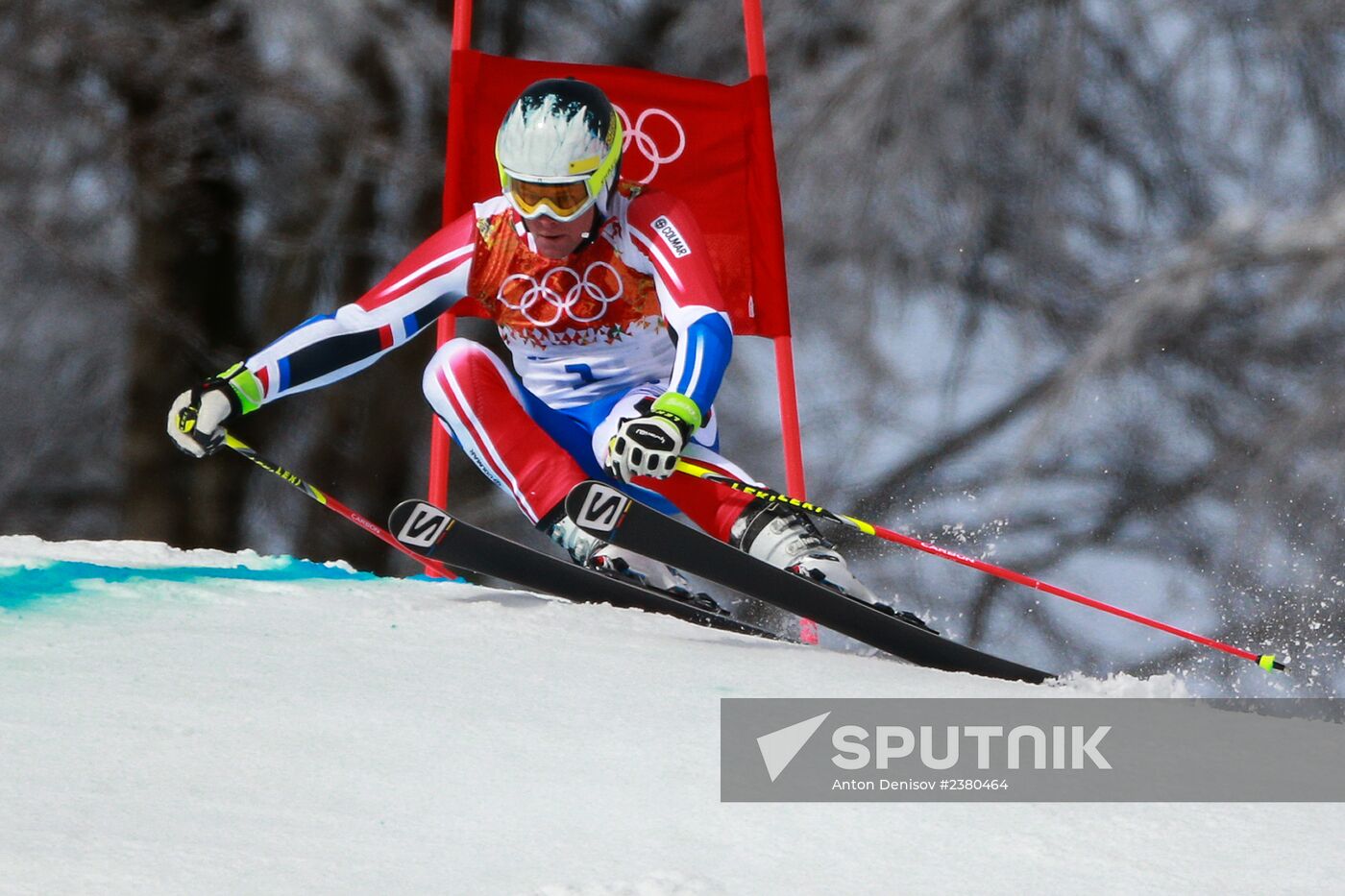 2014 Winter Olympics. Alpine skiing. Men. Giant slalom