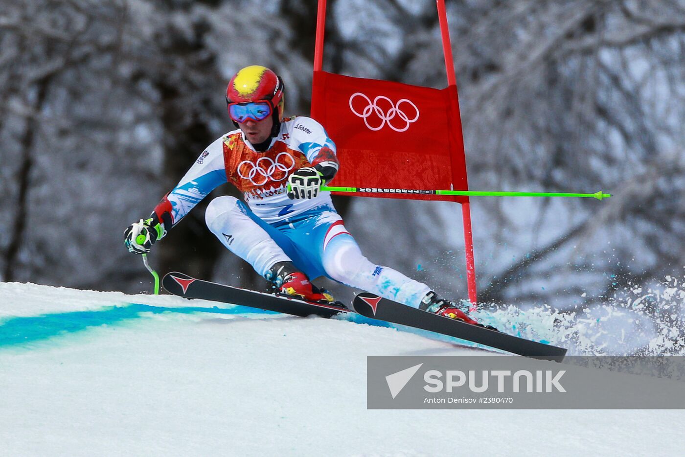 2014 Winter Olympics. Alpine skiing. Men. Giant slalom