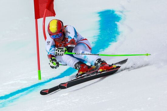 2014 Winter Olympics. Alpine skiing. Men. Giant slalom