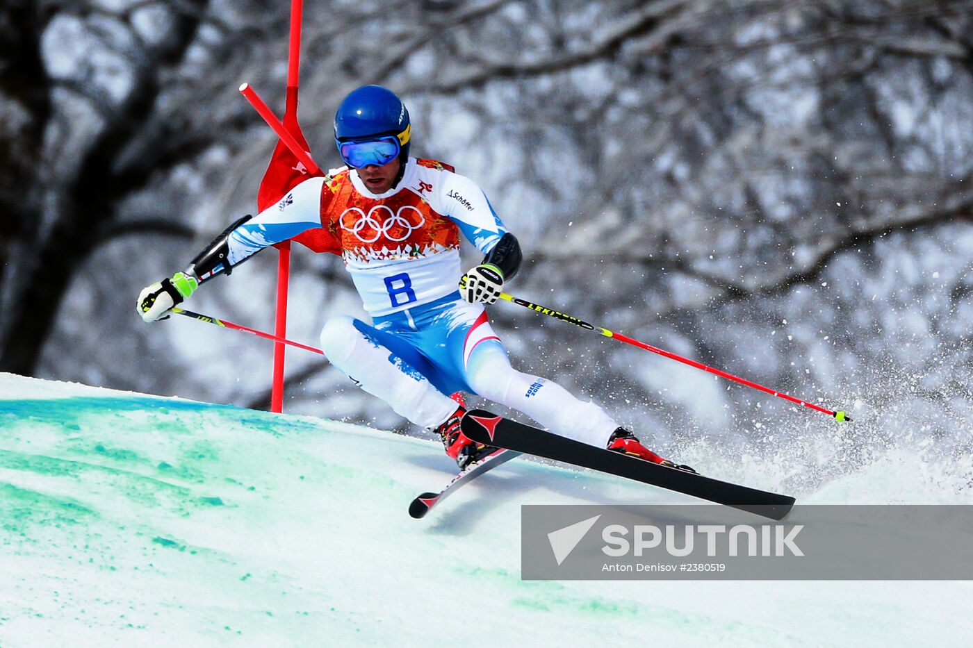 2014 Winter Olympics. Alpine skiing. Men. Giant slalom