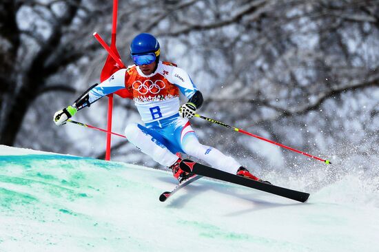 2014 Winter Olympics. Alpine skiing. Men. Giant slalom