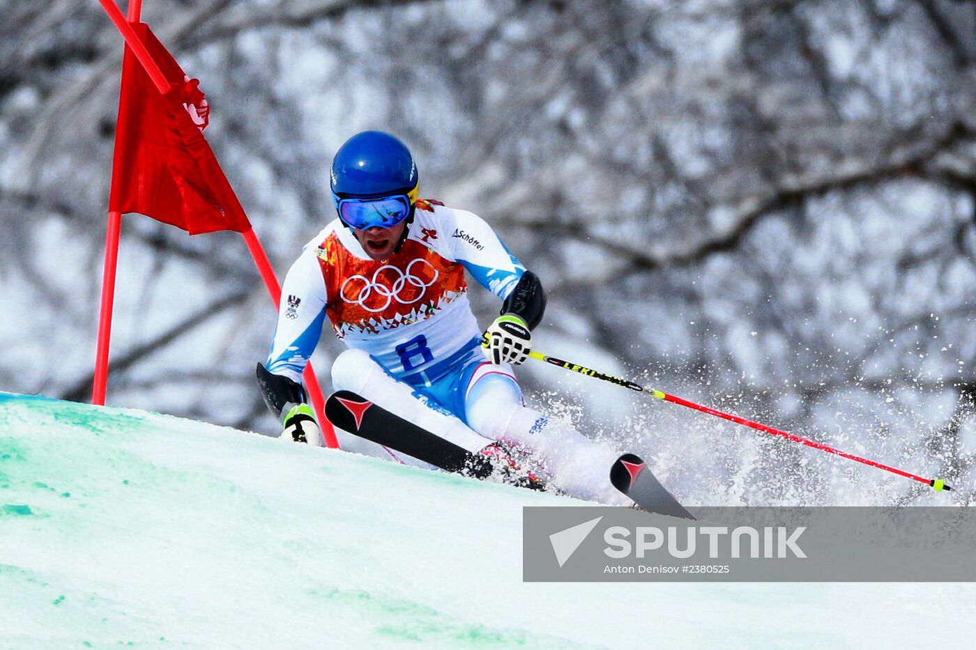 2014 Winter Olympics. Alpine skiing. Men. Giant slalom