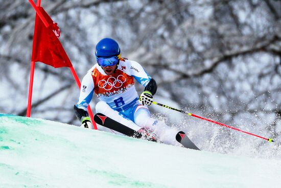 2014 Winter Olympics. Alpine skiing. Men. Giant slalom
