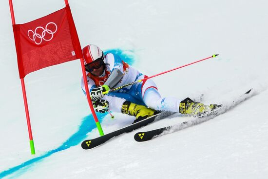 2014 Winter Olympics. Alpine skiing. Men. Giant slalom