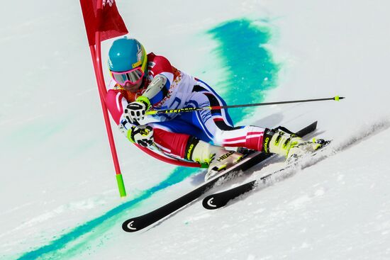 2014 Winter Olympics. Alpine skiing. Men. Giant slalom