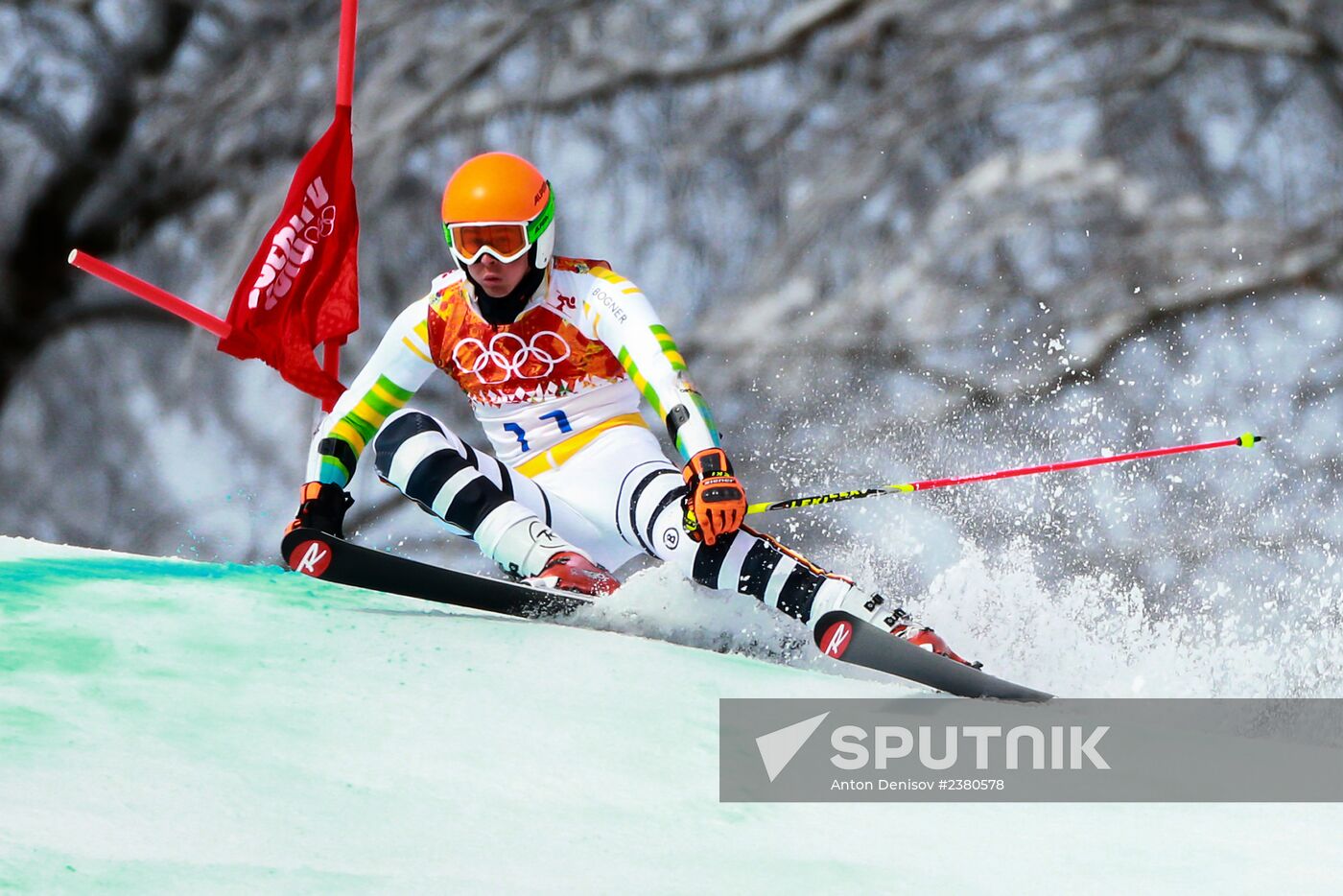 2014 Winter Olympics. Alpine skiing. Men. Giant slalom